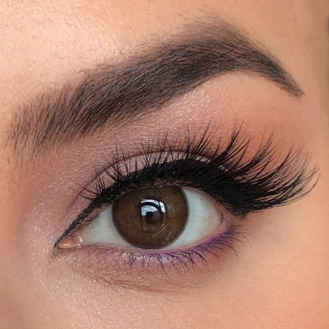 لنز رنگی لابلا لاتین براون LABELLA LATIN BROWN
