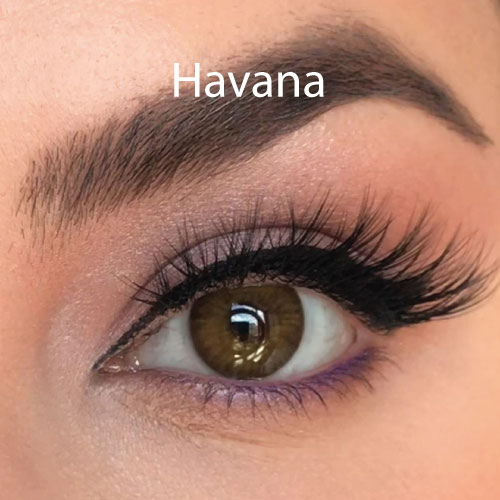 لنز رنگی لابلا پریمیوم هاوانا LABELLA PREMIUM HAVANA